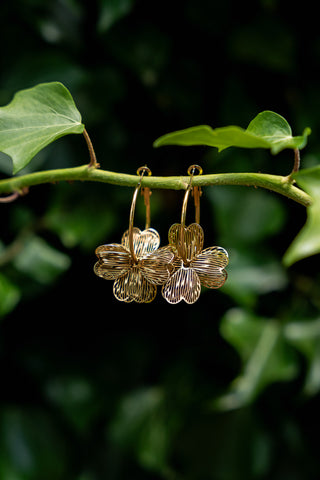 Boucles d'oreilles Mirellana or