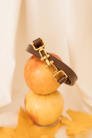 Ceinture Enora marron